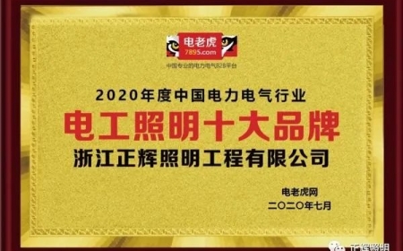 品牌榮譽！祝賀浙江正輝照明榮膺2020年“電工照明十大品牌”